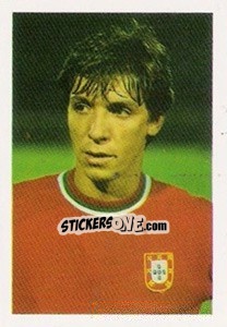 Sticker Fernando Mendes Soares Gomes - Euro 1984 - Disvenda