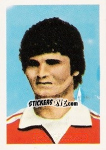 Sticker Ion Andone