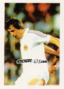 Sticker Jurica Jerkovic - Euro 1984 - Disvenda