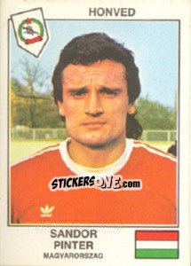 Cromo Pinter(Honved) - Euro Football 79 - Panini