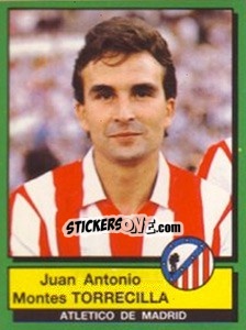 Cromo Juan Antonio Montes Torrecilla - Liga Spagnola 1989-1990 - Panini