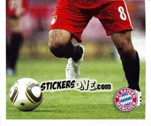 Cromo Hamit Altintop - Fc Bayern München 2010-2011 - Panini