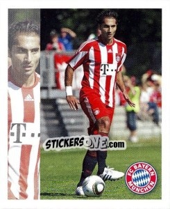 Cromo Hamit Altintop - Fc Bayern München 2010-2011 - Panini