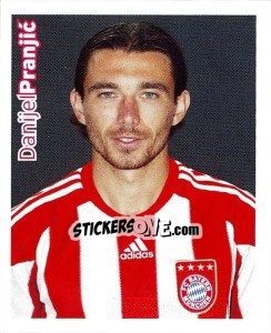 Figurina Danijel Pranjic - Fc Bayern München 2010-2011 - Panini
