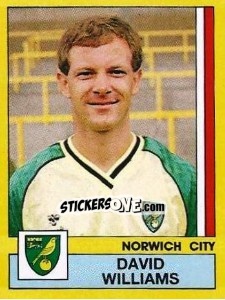 Sticker David Williams - UK Football 1986-1987 n. 208 - Panini