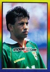Cromo Erwin Sánchez - Copa América 1997 - Navarrete