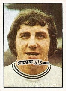 Figurina Roy McFarland