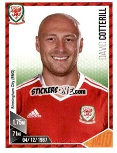 Sticker David Cotterill - Football 2017 n. 208 - Panini