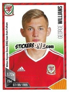 Sticker George Williams - Football 2017 n. 214 - Panini