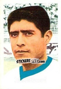 Cromo Guillermo Castro - México 1970 - Palirex