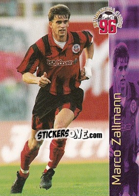 Sticker Marco Zallmann - Bundesliga Fussball Cards 1995-1996 - Panini