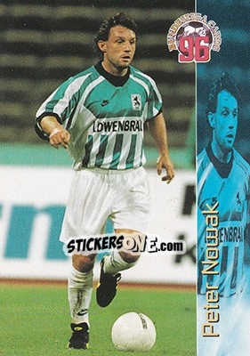 Cromo Peter Nowak - Bundesliga Fussball Cards 1995-1996 - Panini