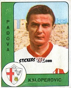 Sticker Tomislav Kaloperovic - Calciatori 1961-1962 - Panini