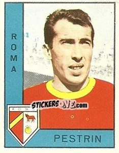 Sticker Paolo Pestrin - Calciatori 1962-1963 n. 216 - Panini