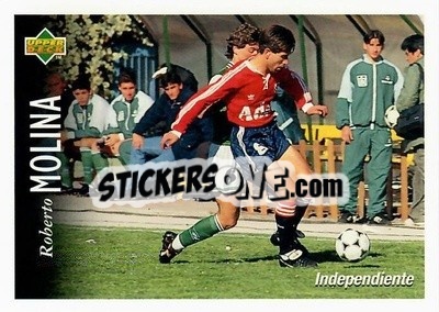 Sticker Roberto Molina - Futbol Argentino Apertura 1995 n. 32 - Upper Deck