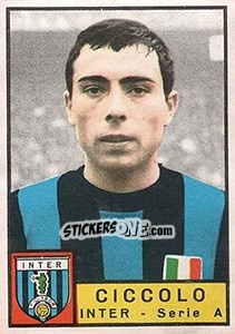 Figurina Nicola Ciccolo - Calciatori 1963-1964 - Panini