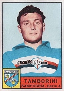 Cromo Giuseppe Tamborini - Calciatori 1963-1964 n. 249 - Panini