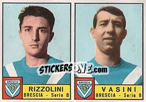 Sticker Rizzolini / Vasini