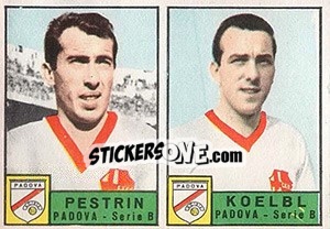 Sticker Pestrin / Koelbl - Calciatori 1963-1964 n. 341 - Panini
