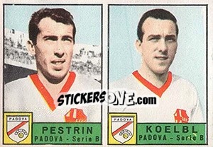 Sticker Pestrin / Koelbl