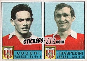 Cromo Cucchi / Traspedini - Calciatori 1963-1964 - Panini