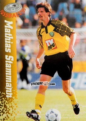 Sticker Mathias Stammenn - Bundesliga Fussball Cards 1994-1995 n. 176 - Panini