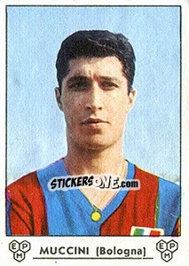 Sticker Manlio Muccini - Calciatori 1964-1965 - Panini
