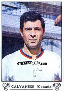 Sticker Salvatore Calvanese - Calciatori 1964-1965 n. 60 - Panini