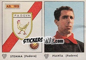 Sticker Stemma / Pianta - Calciatori 1964-1965 n. 343 - Panini