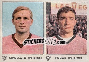 Sticker Cipollato / Fogar - Calciatori 1964-1965 n. 351 - Panini
