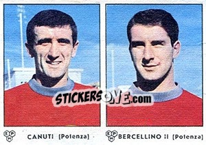 Sticker Canuti / Bercellino - Calciatori 1964-1965 - Panini