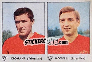 Cromo Cignani / Novelli - Calciatori 1964-1965 - Panini