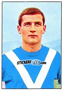 Figurina Bernardo Busi - Calciatori 1965-1966 - Panini