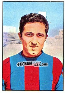 Figurina Bruno Petroni - Calciatori 1965-1966 - Panini