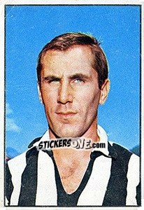 Sticker Giancarlo Bercellino - Calciatori 1965-1966 n. 142 - Panini