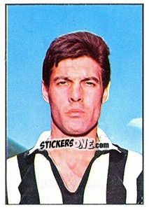 Sticker Sandro Salvadore - Calciatori 1965-1966 - Panini