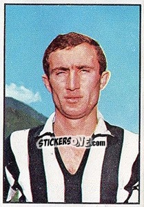 Sticker Vincenzo Traspedini - Calciatori 1965-1966 n. 147 - Panini