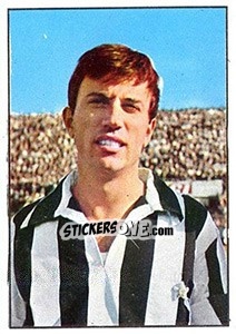 Figurina Gino Stacchini - Calciatori 1965-1966 - Panini