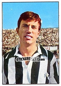 Cromo Gino Stacchini - Calciatori 1965-1966 n. 151 - Panini