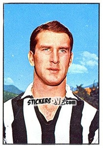 Sticker Silvino Bercellino - Calciatori 1965-1966 - Panini