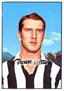 Cromo Silvino Bercellino - Calciatori 1965-1966 n. 153 - Panini