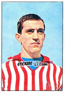 Sticker Sandro Tiberi - Calciatori 1965-1966 n. 159 - Panini
