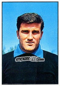 Sticker Idilio Cei - Calciatori 1965-1966 n. 174 - Panini