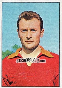 Figurina Giuseppe Tamborini - Calciatori 1965-1966 - Panini