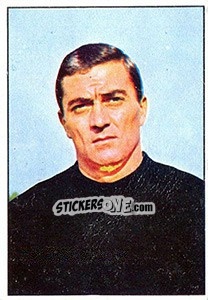 Sticker Enzo Matteucci - Calciatori 1965-1966 n. 235 - Panini