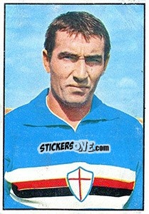 Figurina Guido Vincenzi - Calciatori 1965-1966 - Panini