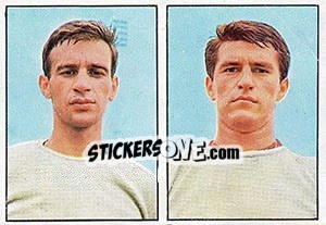 Sticker Medileo / Codognato - Calciatori 1965-1966 n. 316 - Panini