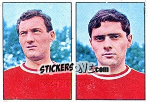 Cromo Bernini / Vivarelli - Calciatori 1965-1966 - Panini