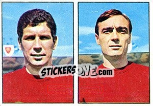 Sticker De Dominicis / Grevi - Calciatori 1965-1966 n. 407 - Panini
