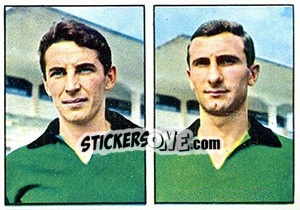 Sticker D'Alessi / Salvemini - Calciatori 1965-1966 n. 428 - Panini